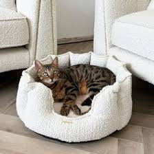 How to Choose the Right Bed for Your Cat